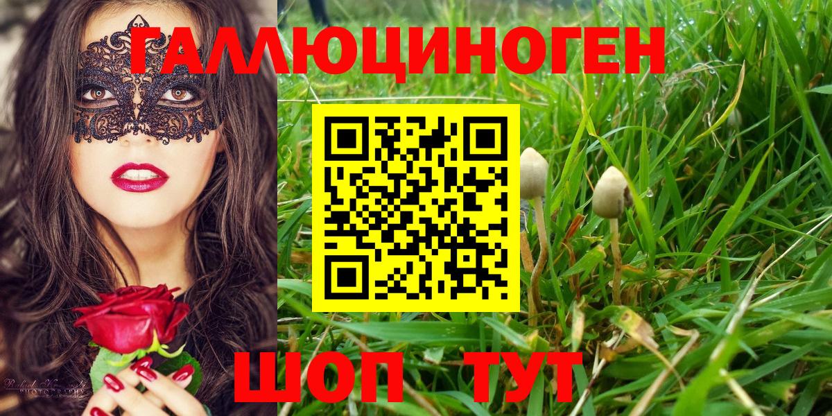 Ессентуки  Галлюциногенные грибы Magic Shrooms  Галлюциногенные грибы Cubensis  Вход с VPN 